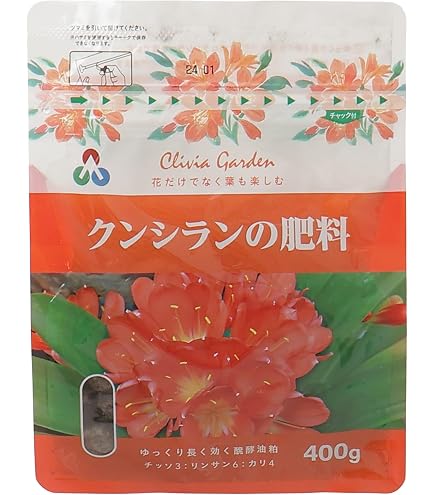 Amazon | 黄花君子蘭 花苗 1株 9㎝ポット はなみどり クンシラン
